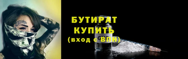 хмурый Аркадак