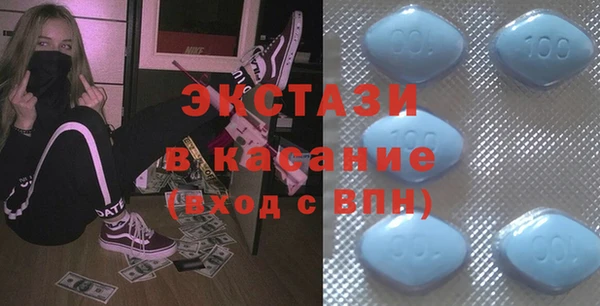 хмурый Аркадак