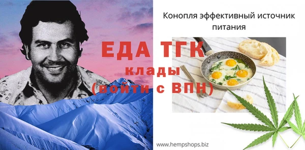 хмурый Аркадак